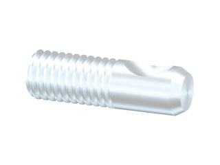 Anchor Bolt G 40 M10, short
