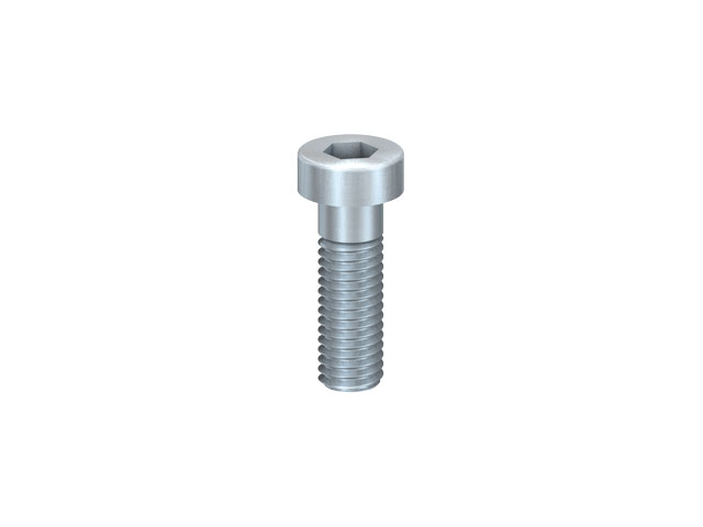 Cap Head Screw M8x25