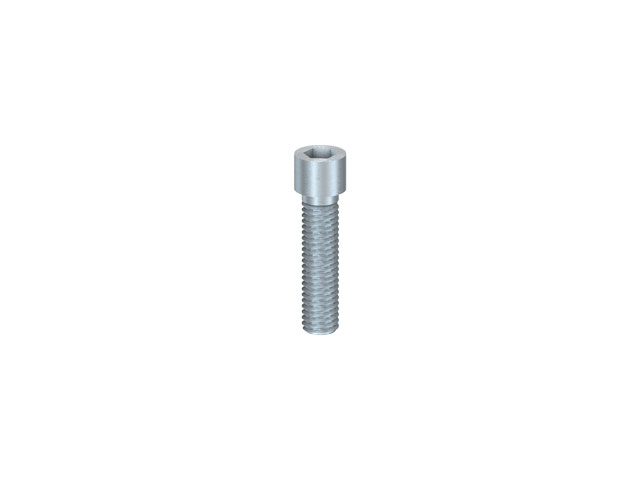 Cap Head Screw M5x20, Head D7