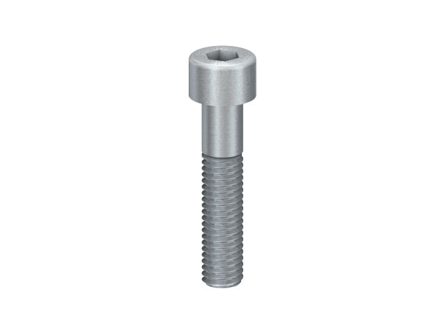 Cap Head Screw M 8x38 rust-resistant