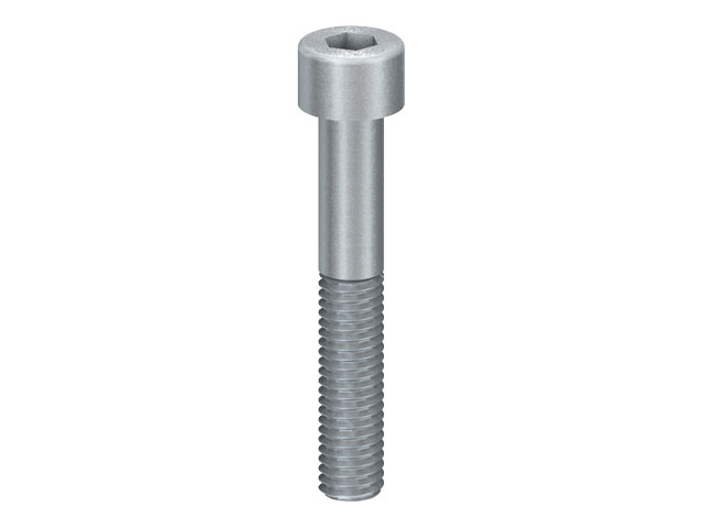 Cap Head Screw M8x50, corrosion-resistant