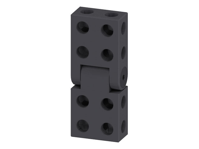 Double Hinge 25x50x125, black