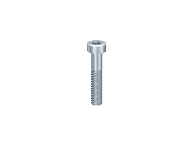 Cap Head Screw M 5x25