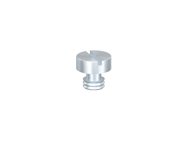 Anti twist Set Screw