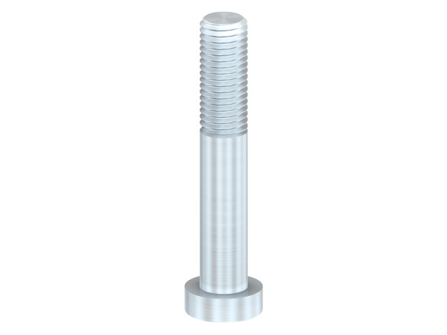 Cap Head Screw M10x55, DIN912