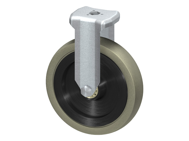 Fixed Castor D125, rubber