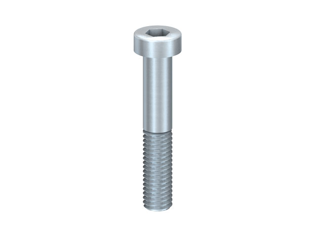 Cap Head Screw M8x45