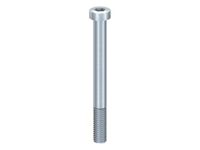 Cap Head Screw M 8x80